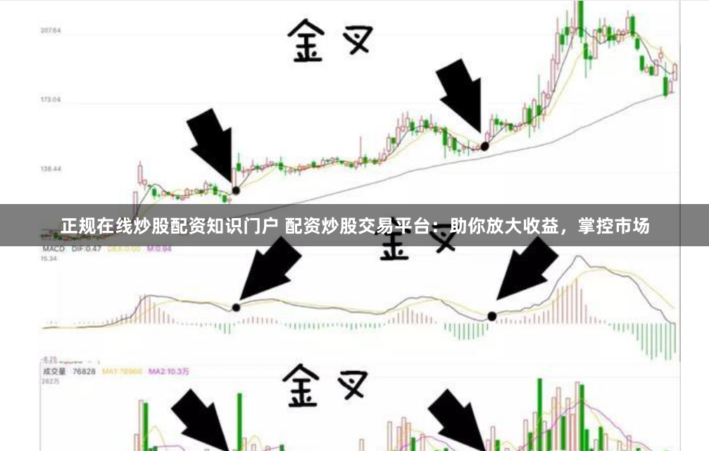 正规在线炒股配资知识门户 配资炒股交易平台:助你放大收益,掌控市场