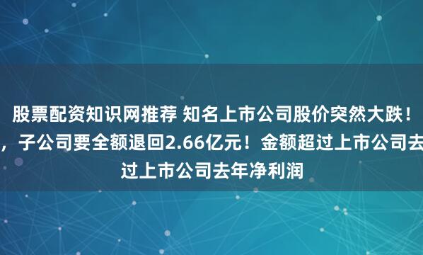 股票配资知识网推荐 知名上市公司股价突然大跌！集采违约，子公司要全额退回2.66亿元！金额超过上市公司去年净利润