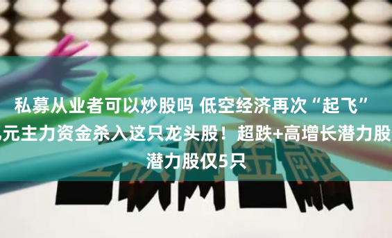 私募从业者可以炒股吗 低空经济再次“起飞” 近4亿元主力资金杀入这只龙头股！超跌+高增长潜力股仅5只
