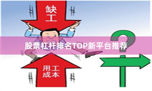 股票杠杆排名TOP新平台推荐
