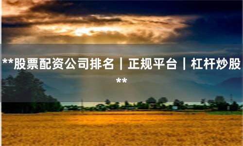 **股票配资公司排名｜正规平台｜杠杆炒股**