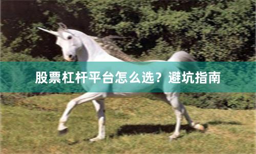 股票杠杆平台怎么选？避坑指南
